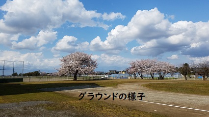 OEh